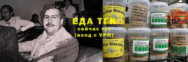 гашик Новозыбков